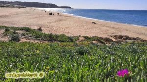 Spiaggia di Pistis in Costa Verde nel mese di febbraio