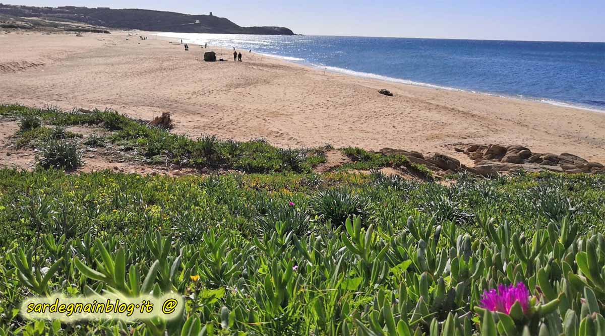Spiaggia di Pistis in Costa Verde nel mese di febbraio