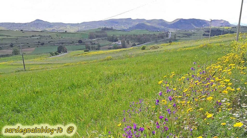 Primavera in Sardegna