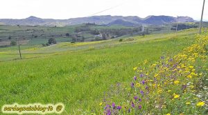 Primavera in Sardegna