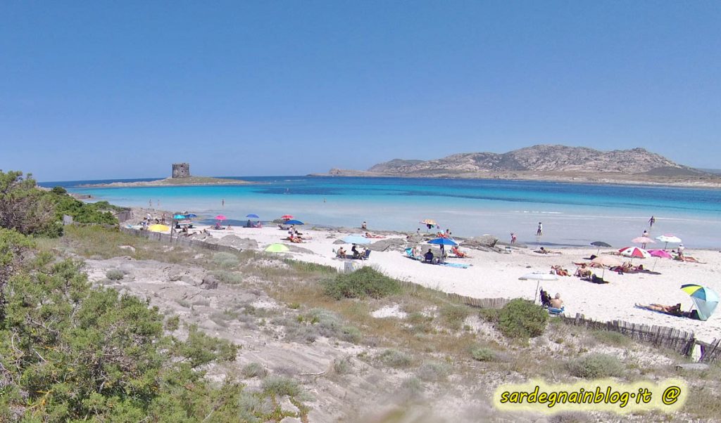 Spiaggia La Pelosa a Stintino
