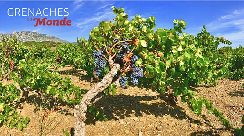 Grenache du Monde