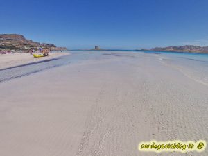 Spiaggia e sabbia de La Pelosa a Stintino