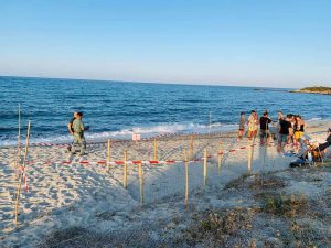 Nido di tartaruga Caretta caretta sulla spiaggia di Cea in Ogliastra