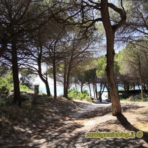Pineta di Maria Pia ad Alghero