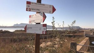 Sentieri parco Molentargius saline, mappa e servizi