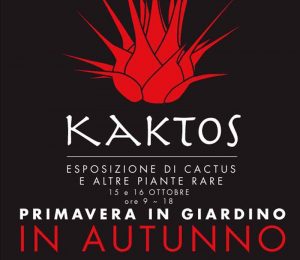 Kaktos, primavera in giardino 2022