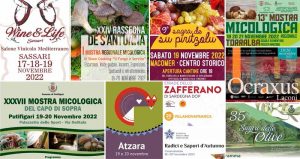 Eventi e sagre 18, 19 e 20 novembre in Sardegna