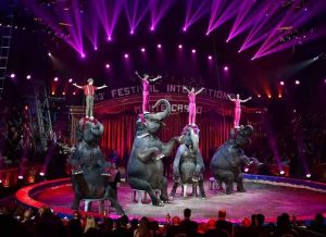 Elefanti al circo Orfei