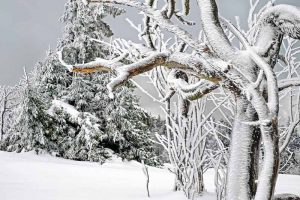 Paesaggio innevato