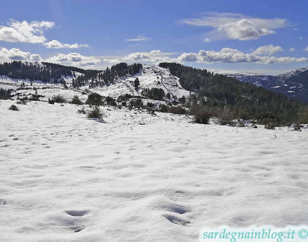 Neve in Sardegna