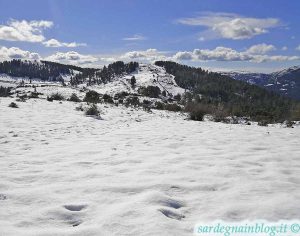 Neve in Sardegna