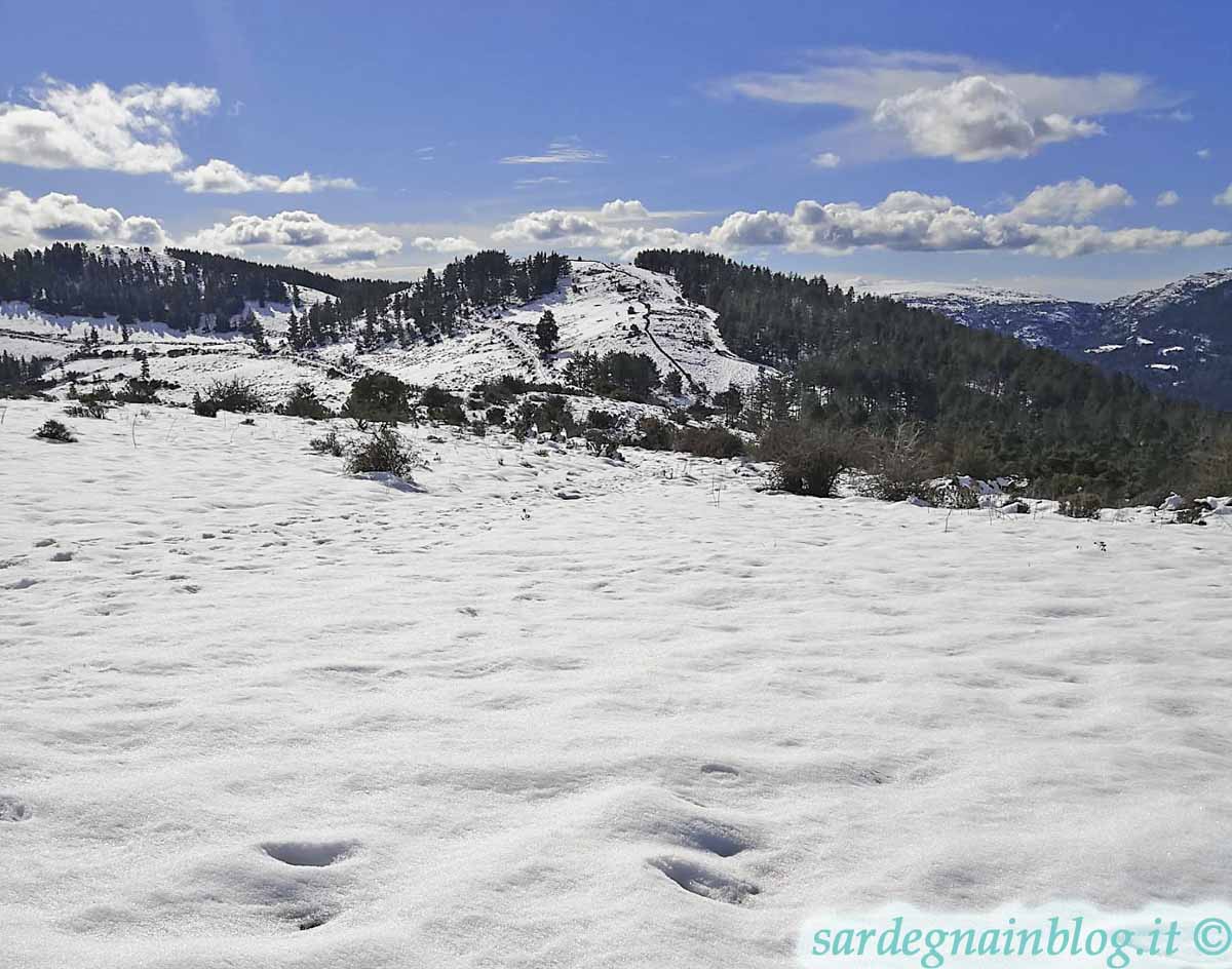 Allerta per temporali e neve in Sardegna per domani 28 febbraio 2023!