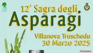 Sagra asparagi 2025 a Villanova Truschedu, manifesto con data, programma e orari eventi!
