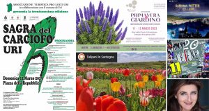 Eventi e sagre dell'11 e 12 marzo 2023 in Sardegna