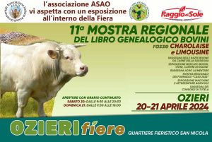 Mostra regionale dei bovini Ozieri 2024, manifesto con date e programma