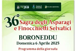 Sagra asparagi Boroneddu 2025, manifesto con data, programma e orari | Sardegna in blog