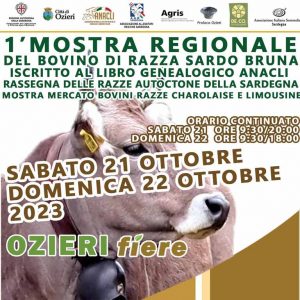 Mostra regionale del bovino di razza sarda 2023 a Ozieri, date e manifesto