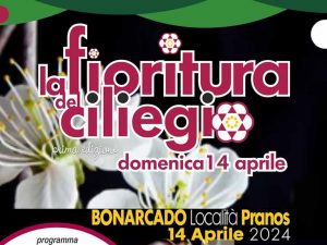 La fioritura del ciliegio a Bonarcado, manifesto con data e programma