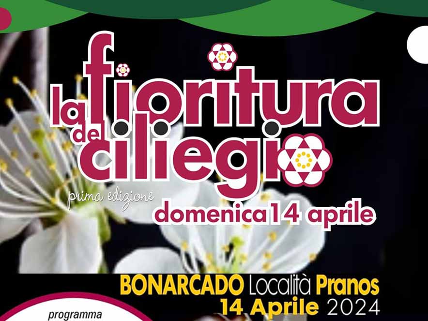 La fioritura del ciliegio a Bonarcado, manifesto con data e programma
