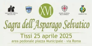 Sagra dell'asparago selvatico a Tissi, manifesto con data e programma 2025 | Sardegna in blog