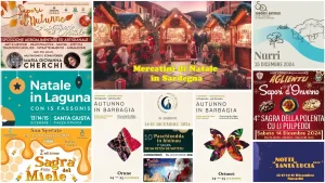 Eventi, sagre e mercatini di natale del 13, 14 e 15 dicembre 2024 in Sardegna. Manifesti e programma.