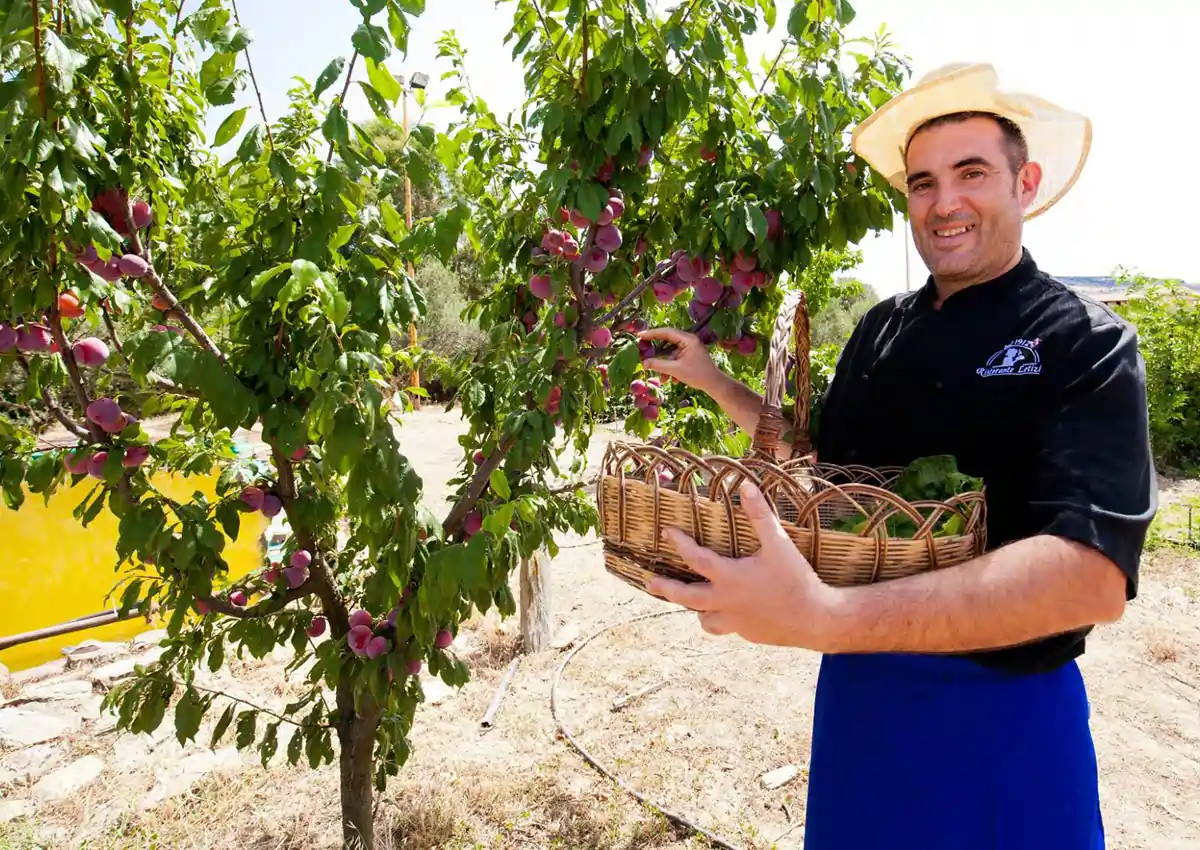 Osterie Slow Food in Sardegna | SardegnaInBlog