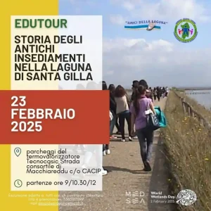 Visita guidata al sito neolitico di Cuccuru Ibba | Sardegna in Blog