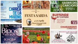 Eventi e sagre del 4, 5 e 6 novembre 2025 in Sardegna, programma | Sardegna in blog