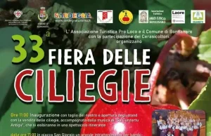 Sagra delle ciliegie di Bonnanaro 2025, manifesto con data, programma e orari eventi | Sardegna in blog
