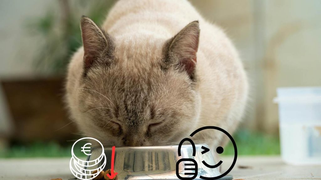 Cibo per gatti TOP