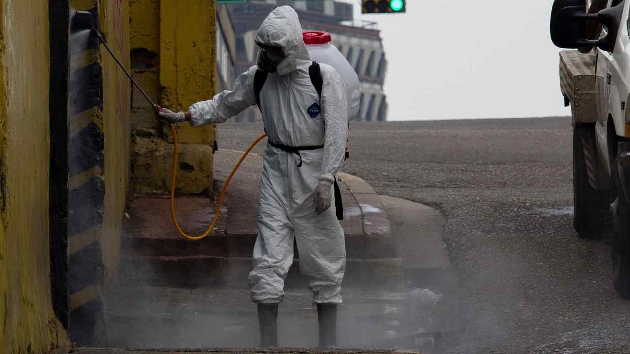 Cagliari, allarme al parco di Monteclaro | Avvistati ratti tra i vialetti: scatta la disinfestazione urgente