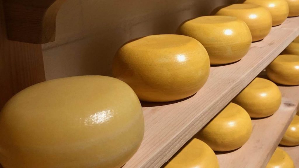 Eccellenze e sapori tipici