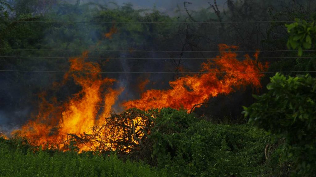 15 incendi in un giorno in Sardegna