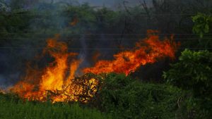 15 incendi in un giorno in Sardegna