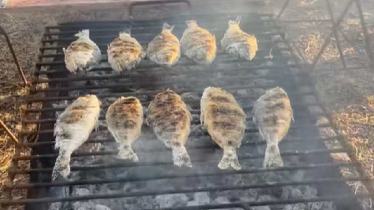 San Priamo, successo per la sagra del pesce arrosto | Distribuiti 6 quintali di spigole e orate: folla e applausi