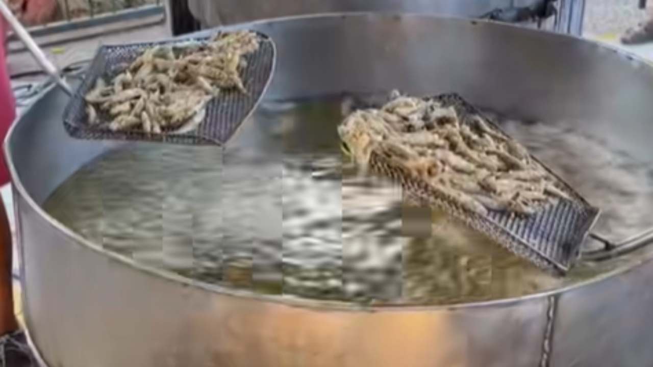 Sagra del Pesce, è Silius la regina dell’estate sarda | Fritture a volontà, artigianato e musica: in migliaia per il piatto più amato