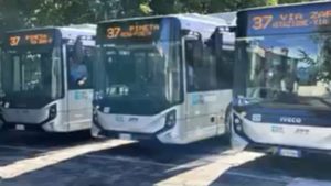 In arrivo 32 bus elettrici