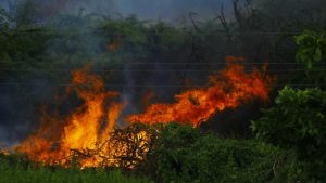 Non si fermano gli incendi in Sardegna