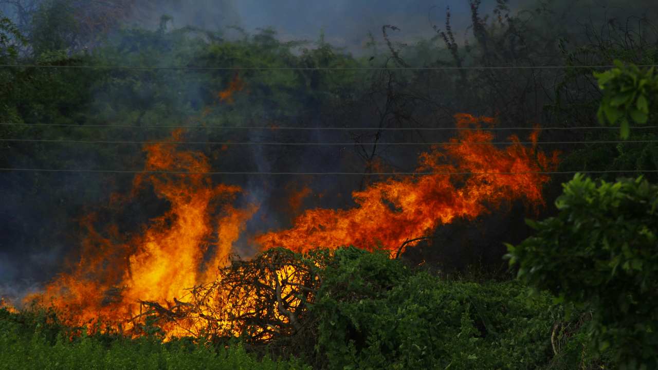 Non si fermano gli incendi in Sardegna: decine di ettari in fumo