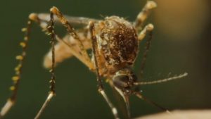 I contagi salgono a 30