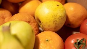 Blitz dei carabinieri