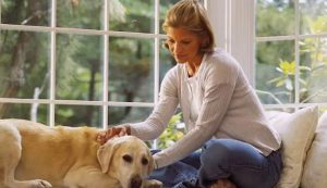 Arriva il permesso per accudire gli animali domestici