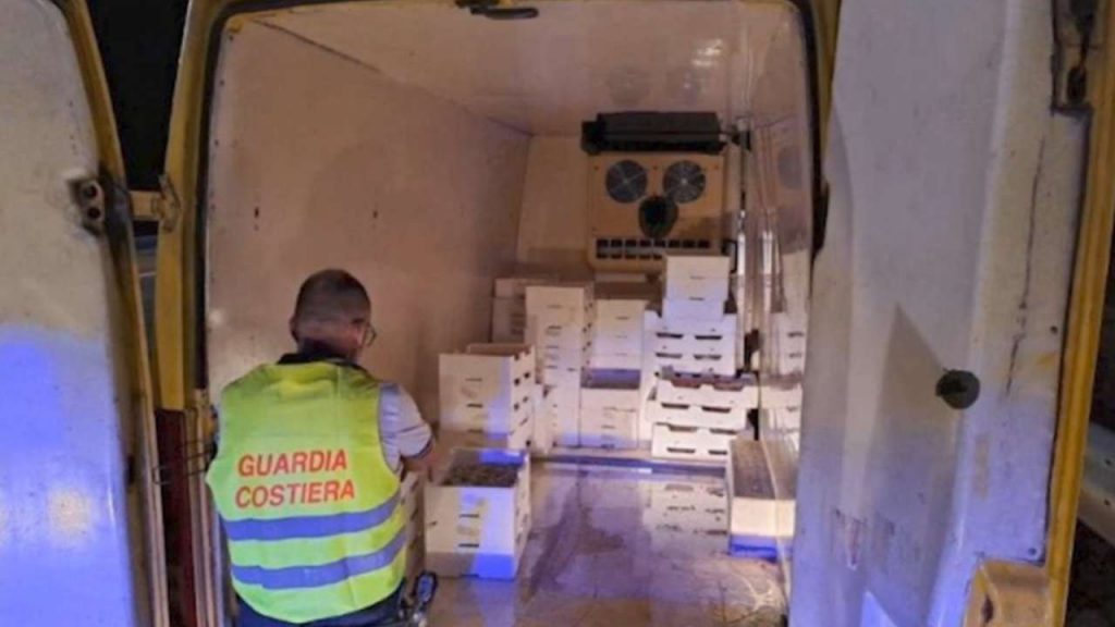 Olbia, quattro quintali di pesce non tracciato | Sequestro e multa da 3mila euro per il titolare della ditta