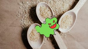 Cucchiai pieni di riso