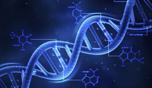 Il DNA può esistere all'invecchiamento