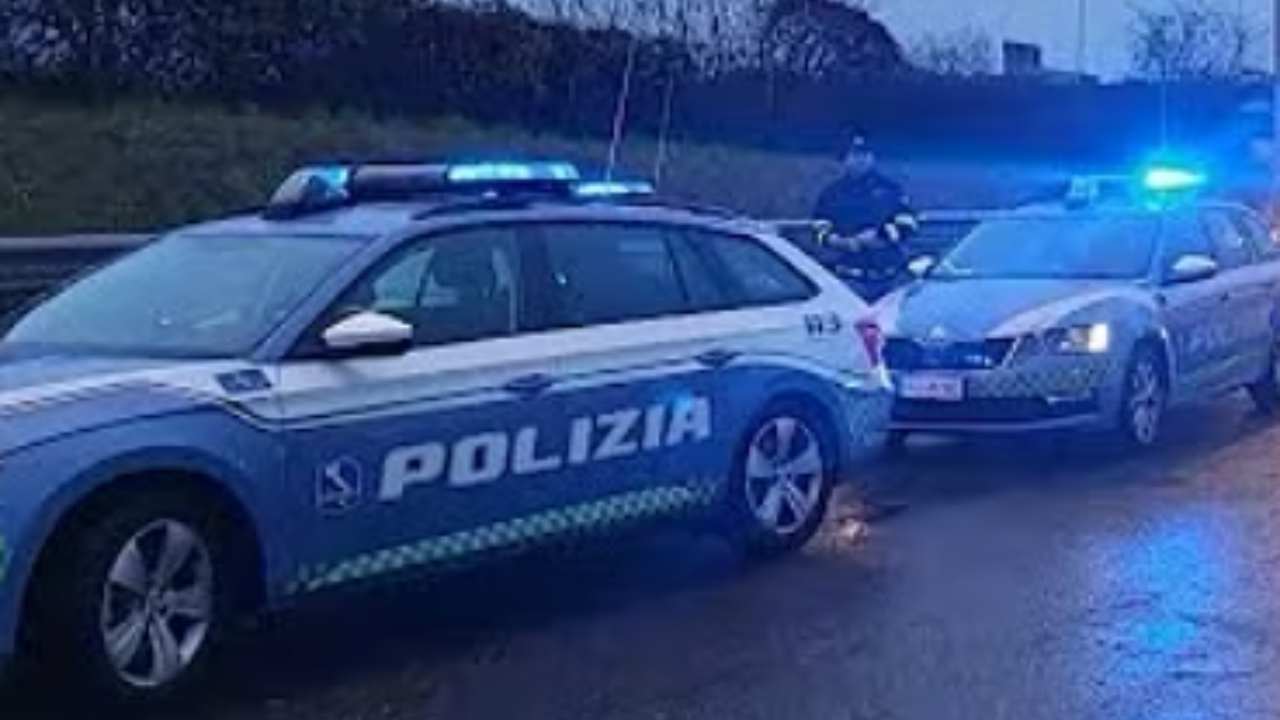 Lotta al traffico della droga